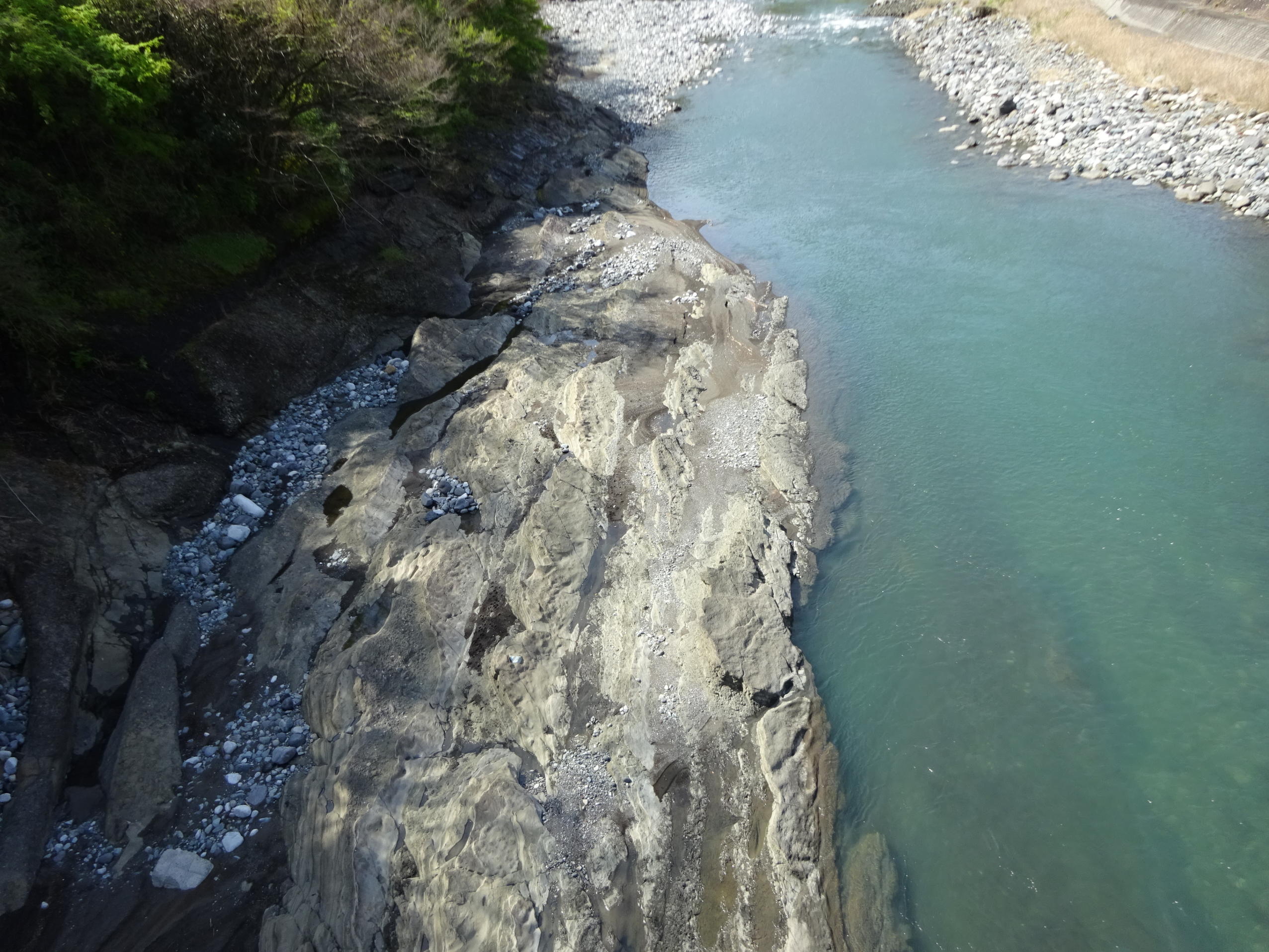 大野山