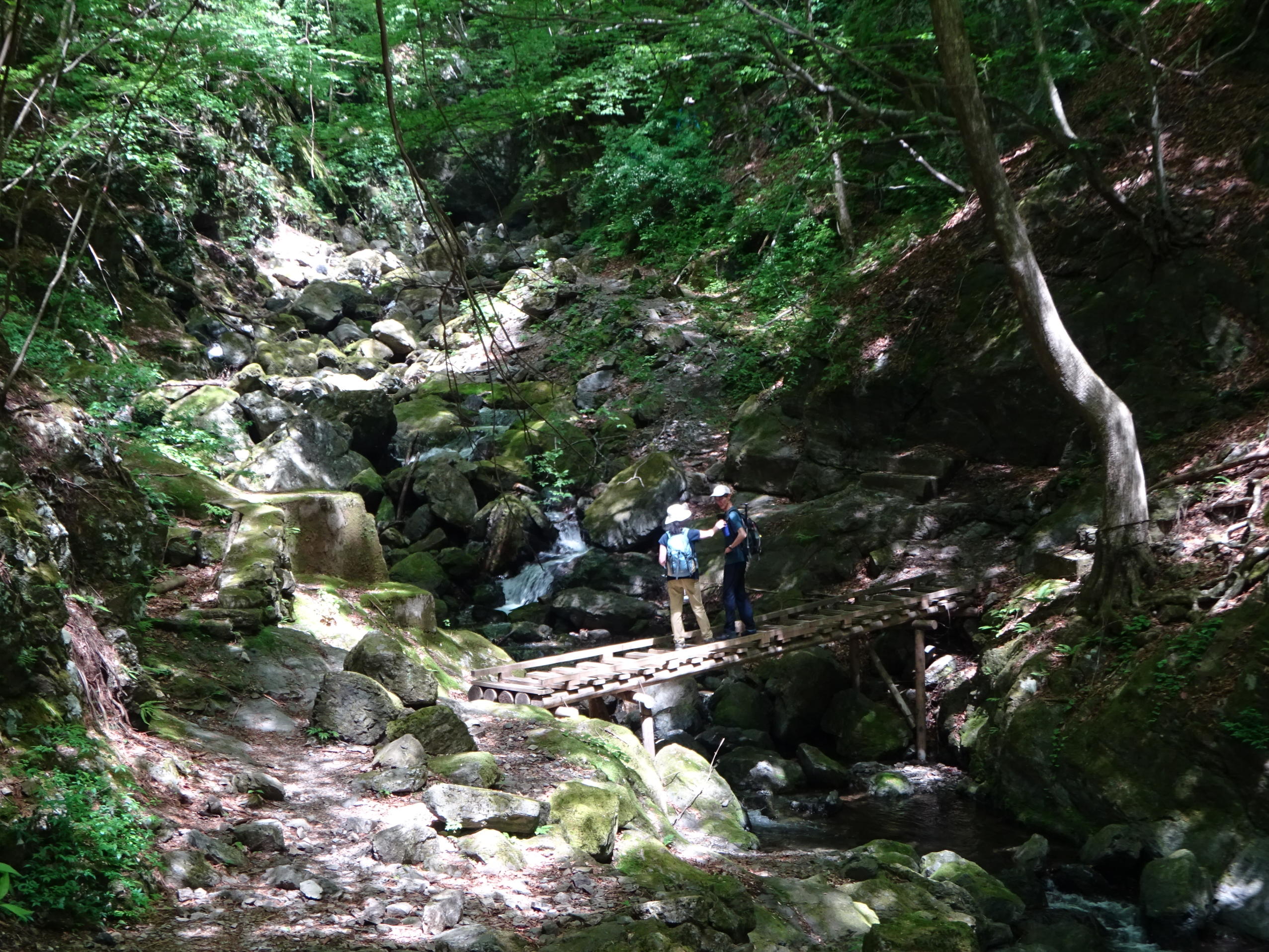 川苔山