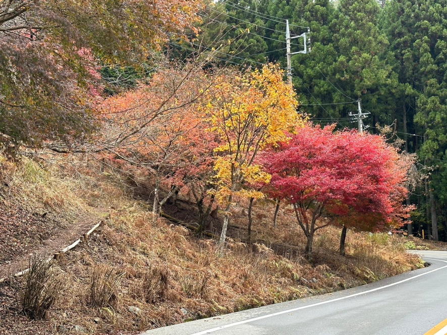 奈良倉山