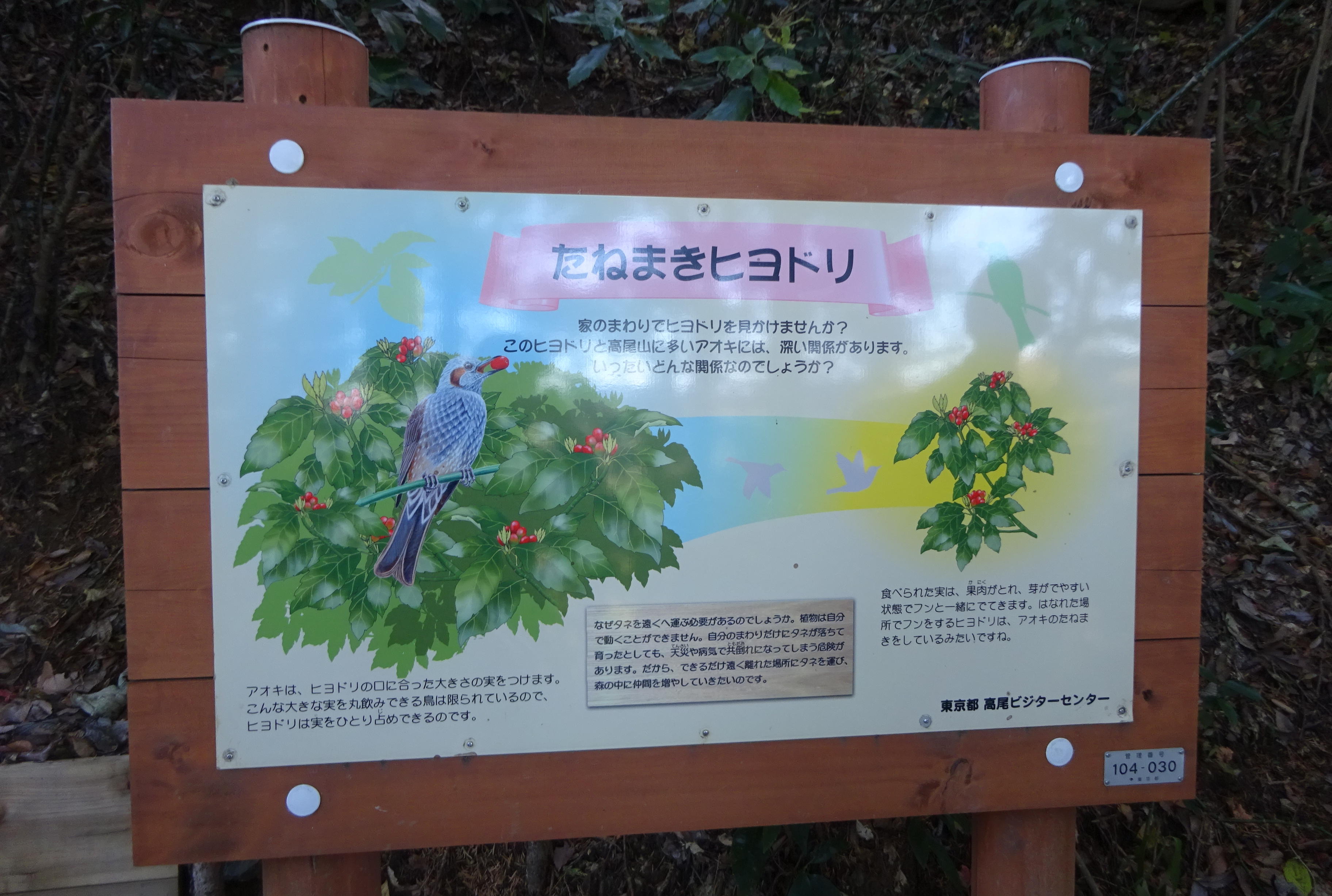 一丁平