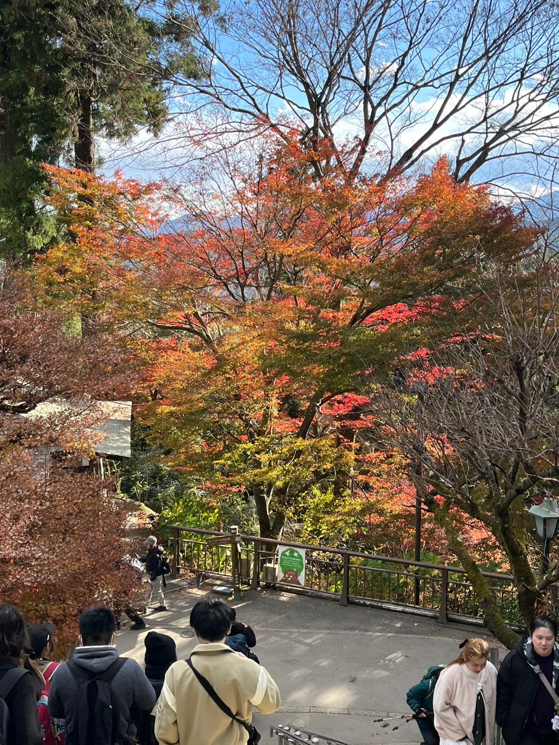 一丁平