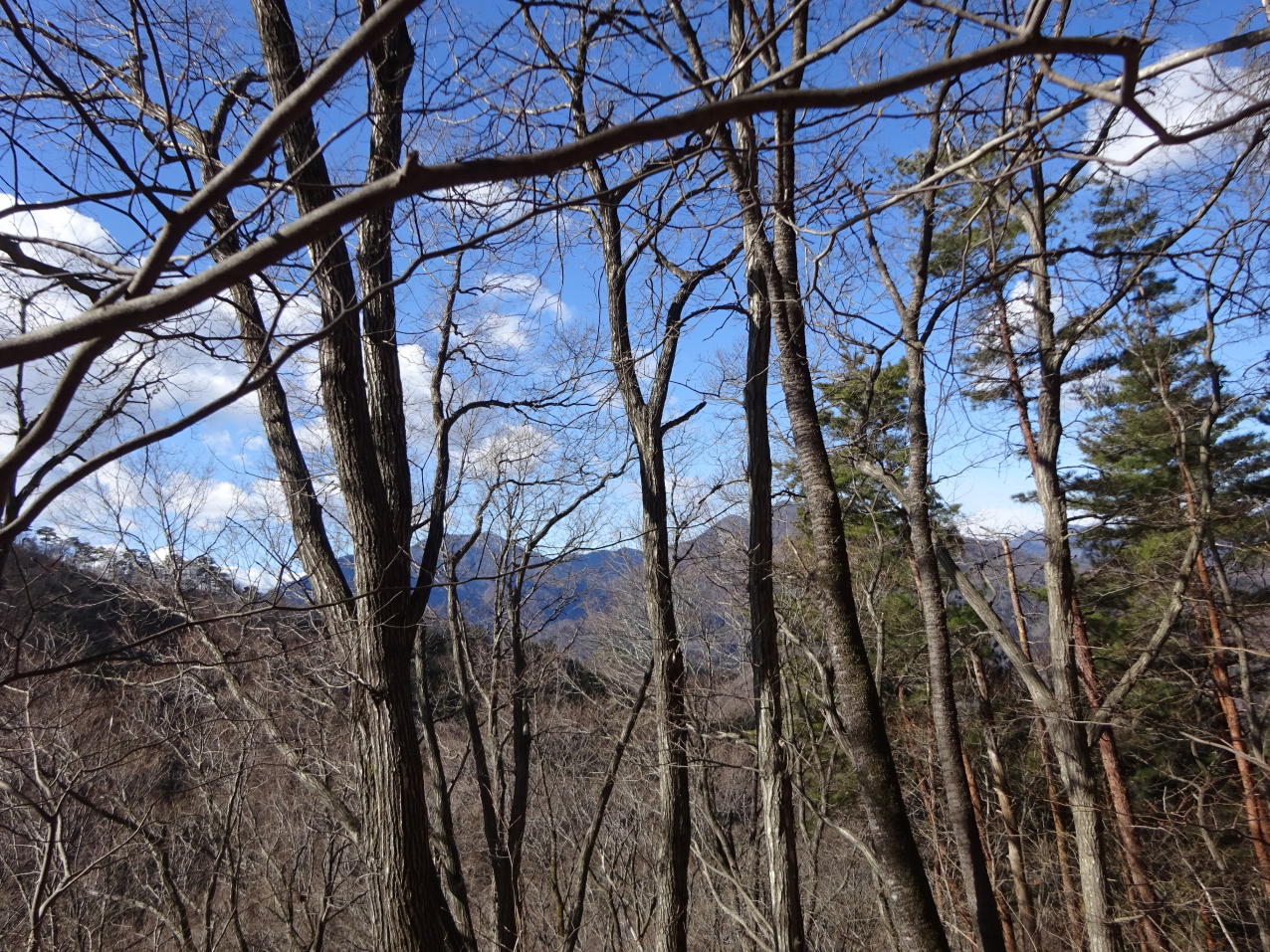 高川山