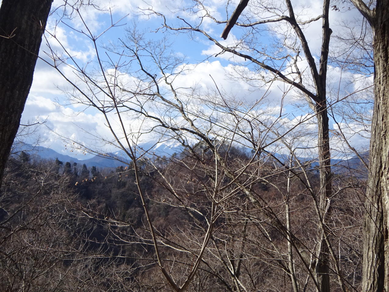 高川山