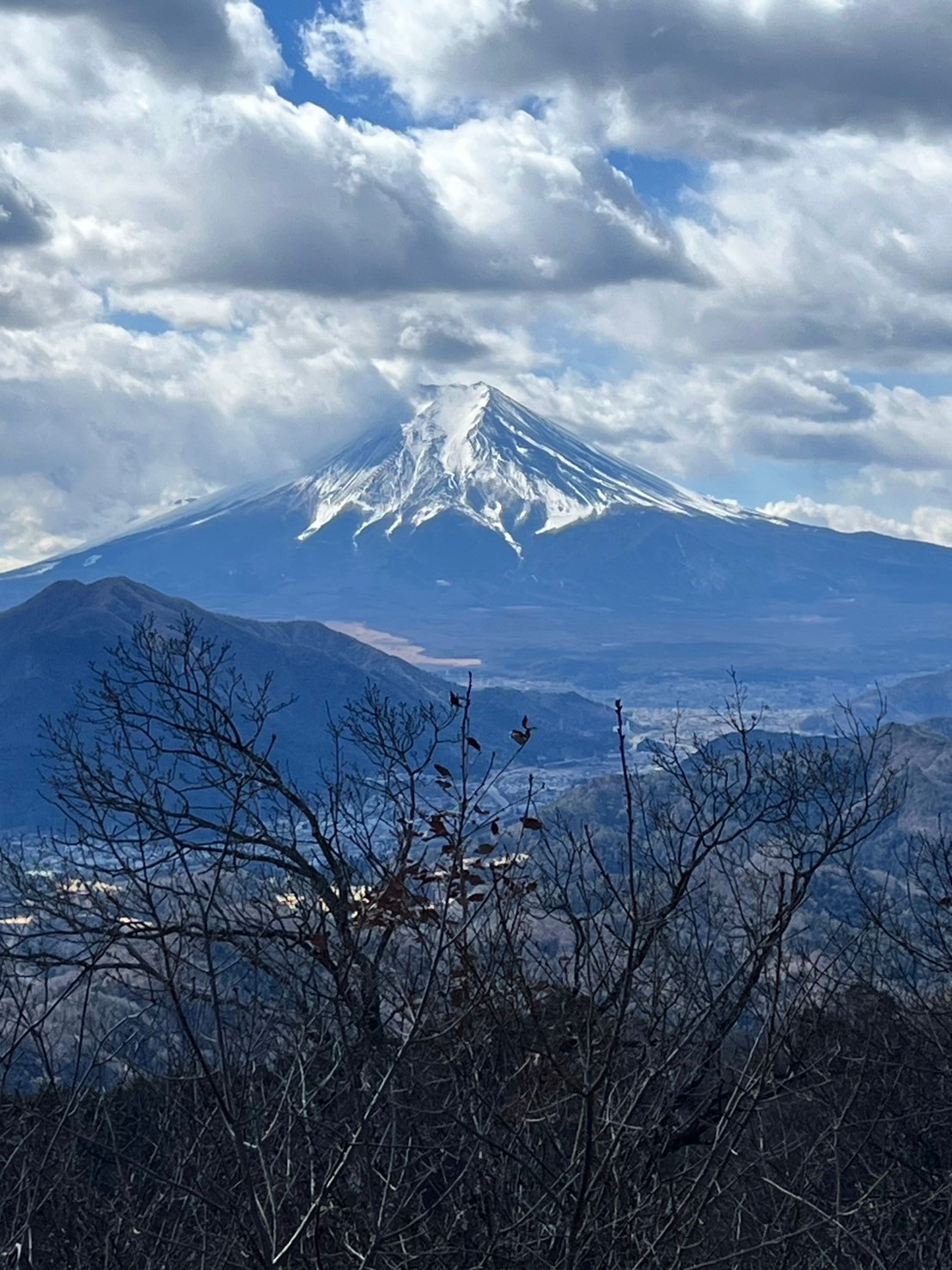 高川山