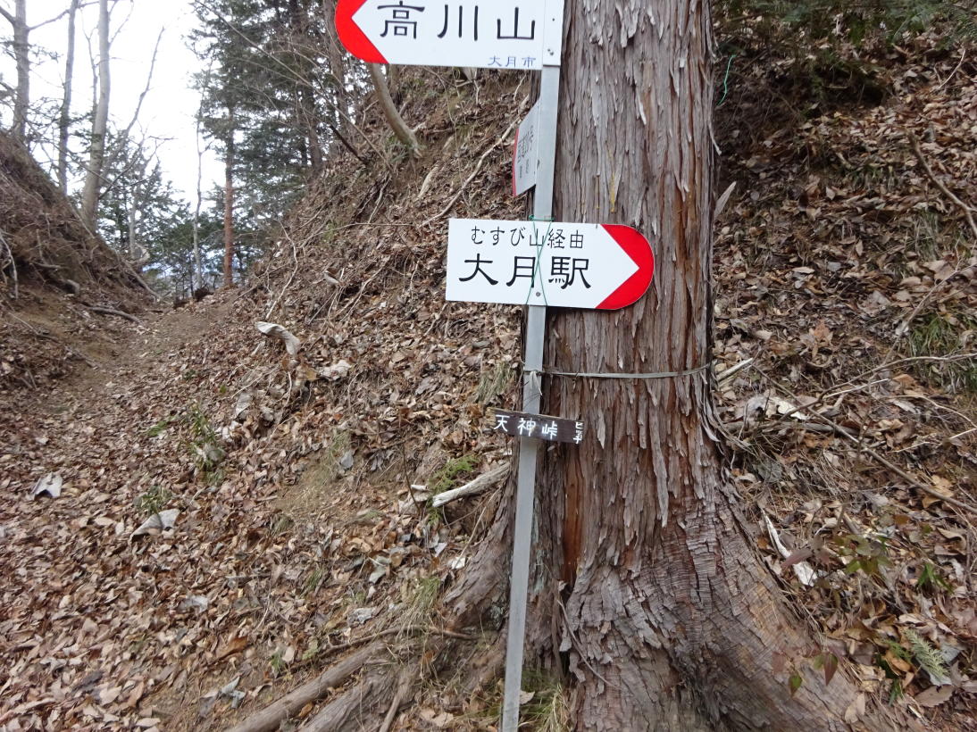 高川山