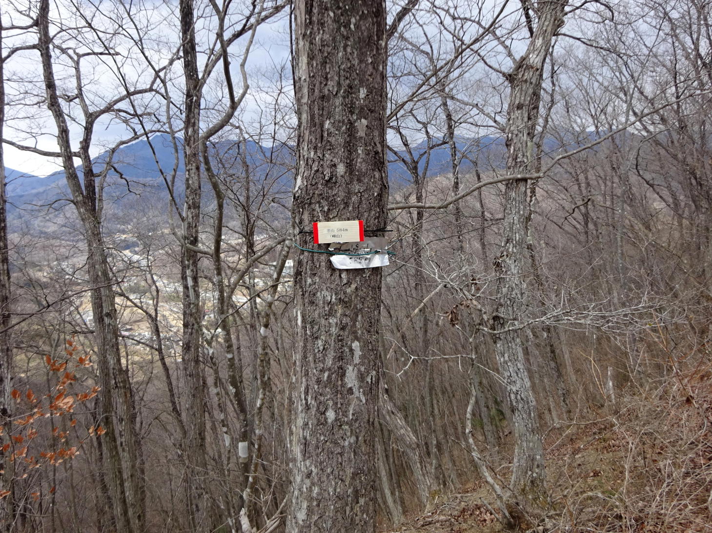 高川山