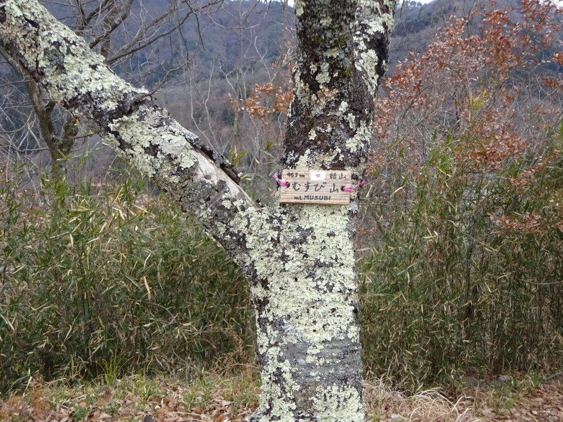 高川山