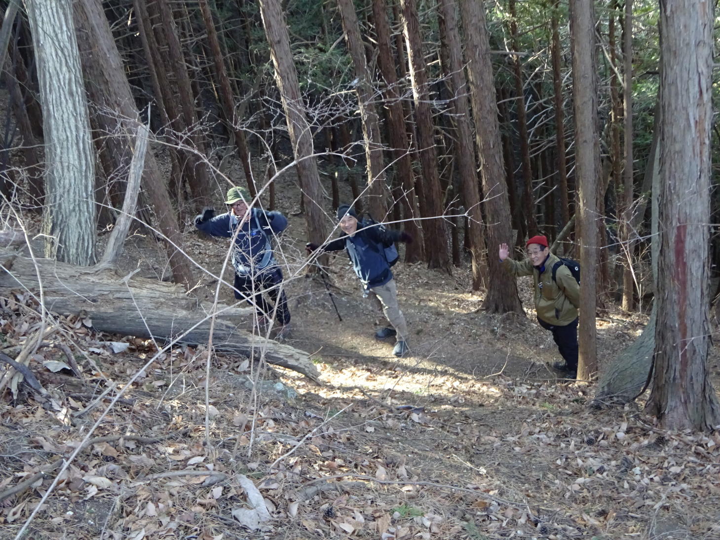 高川山