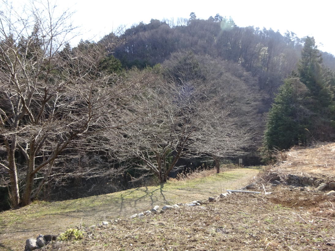たいら山