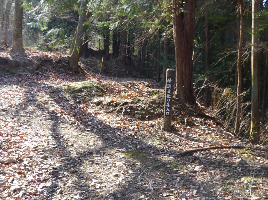 たいら山