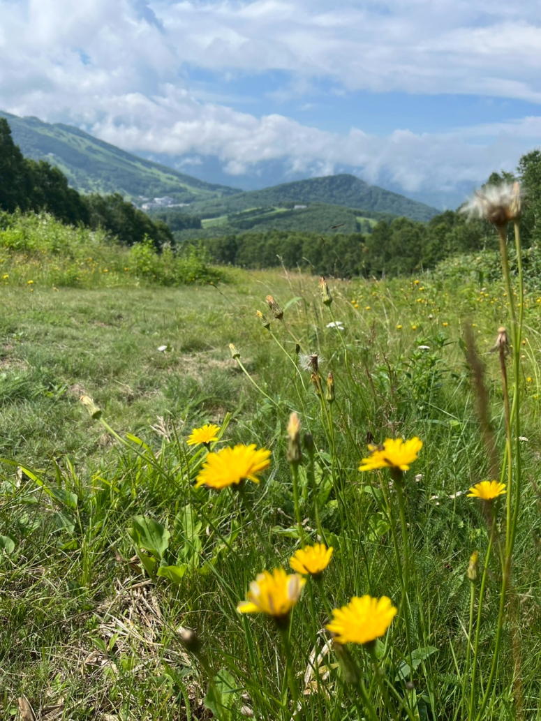 焼額山