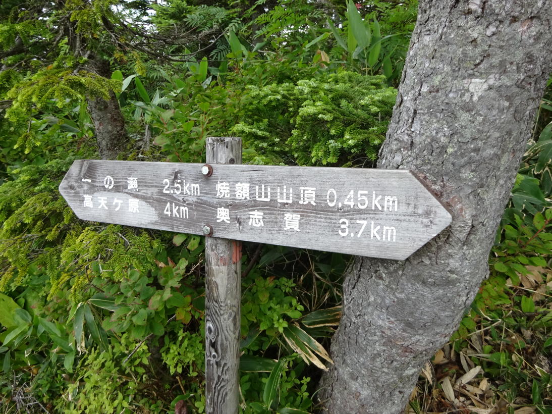 焼額山
