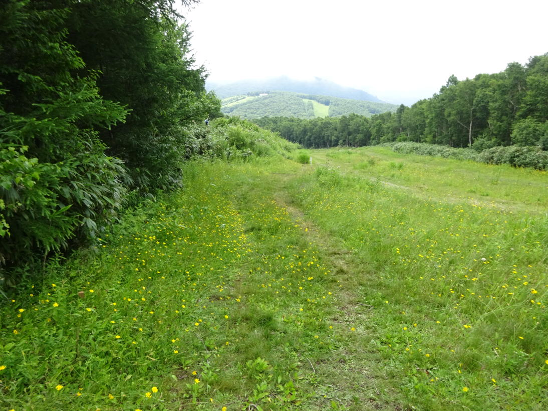焼額山