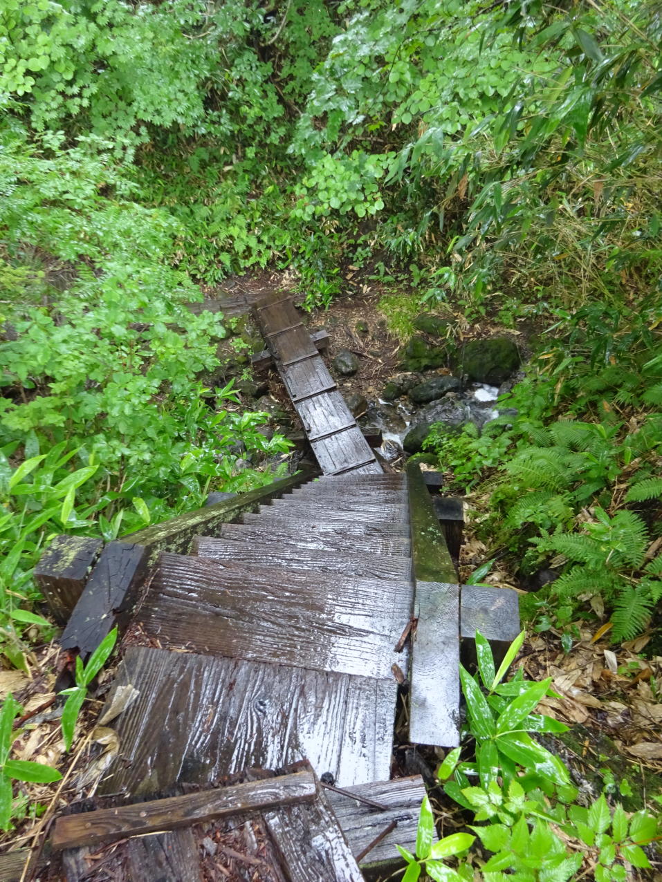 燧ケ岳