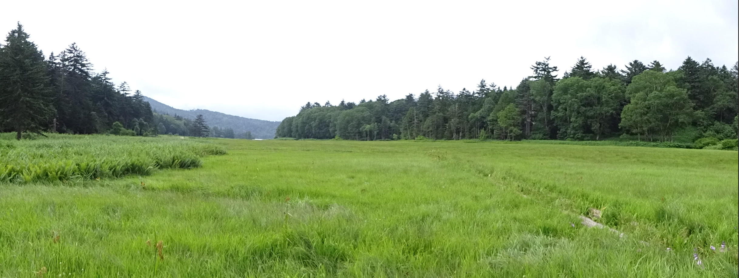 燧ケ岳