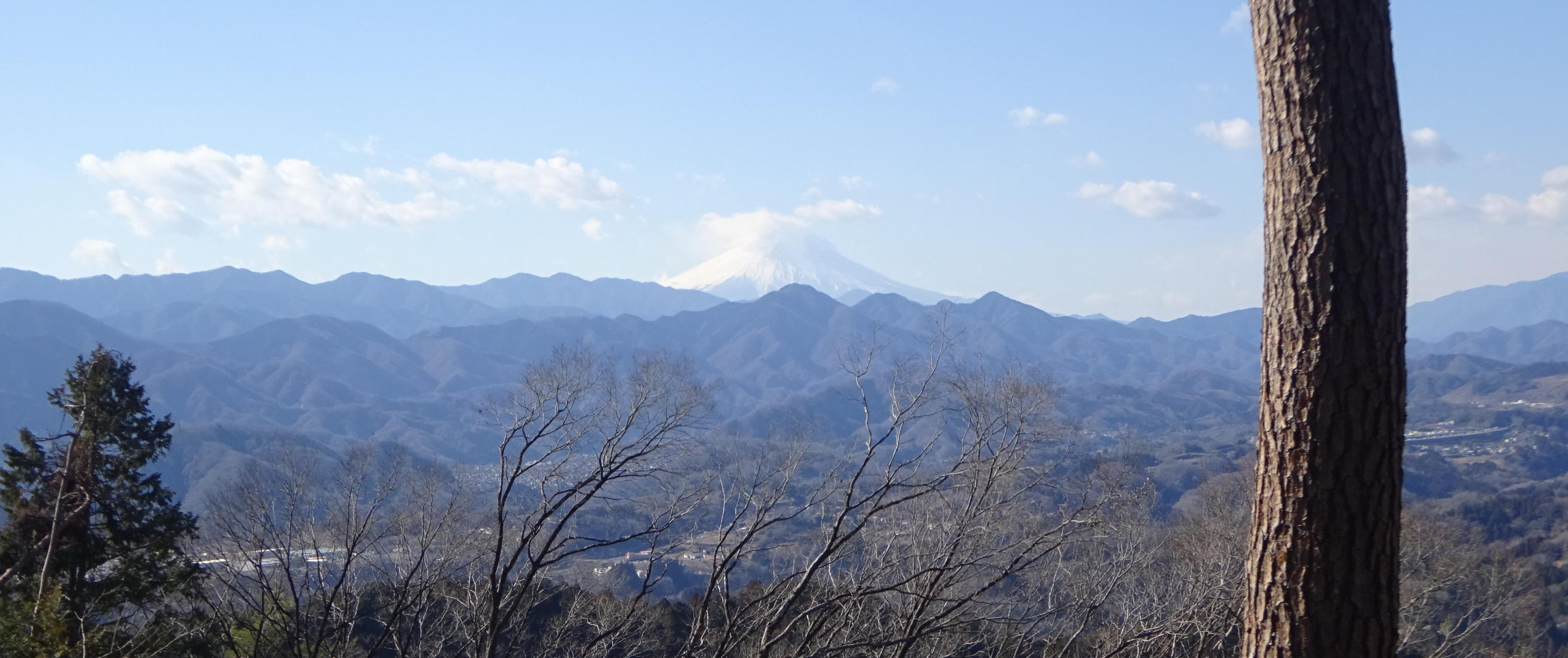 八重山