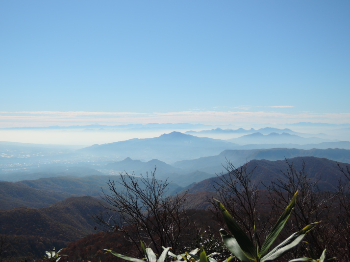 玉原高