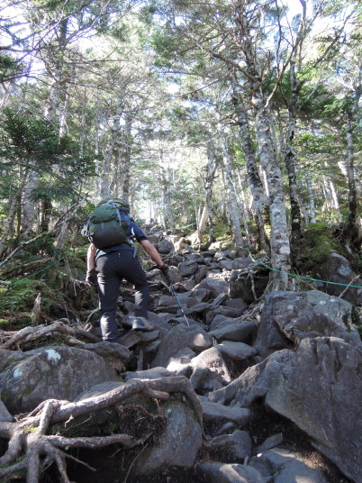 蓼科山