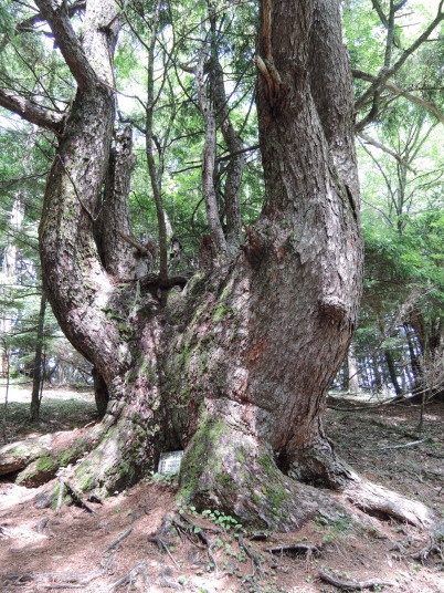 櫛形山