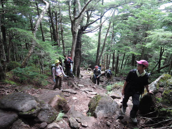 網笠山