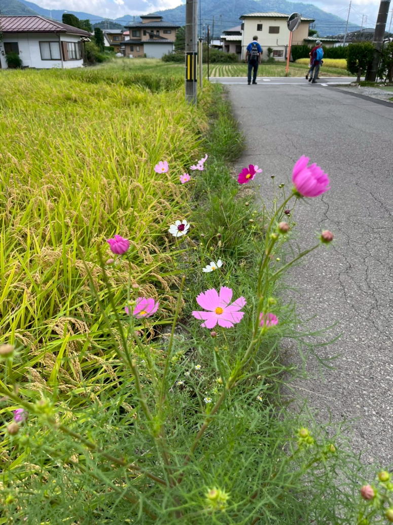 新倉山