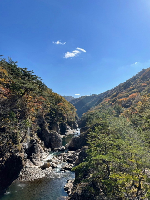 霧ヶ峰