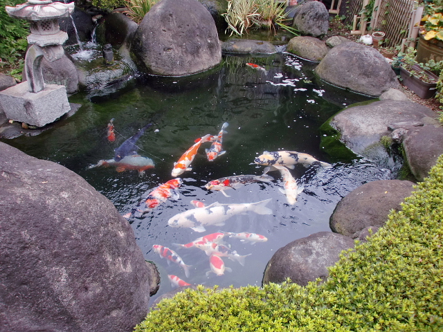 川越七福神巡り