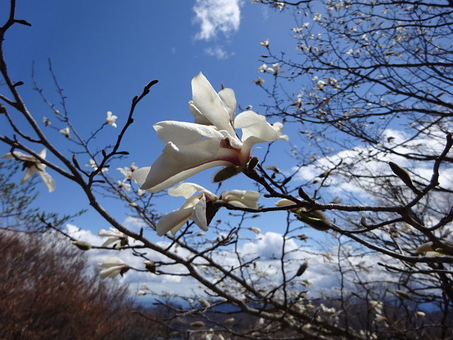 軽井沢