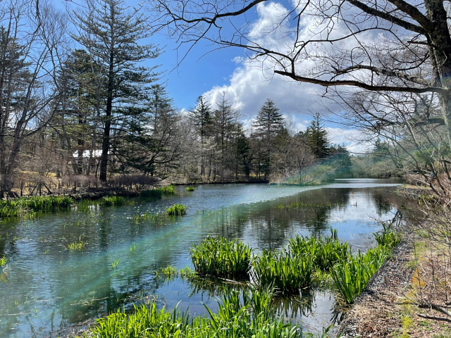 軽井沢