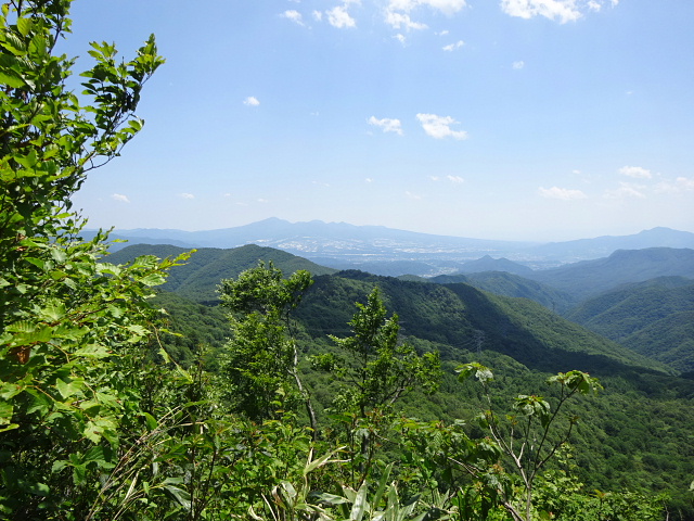 玉原湿原