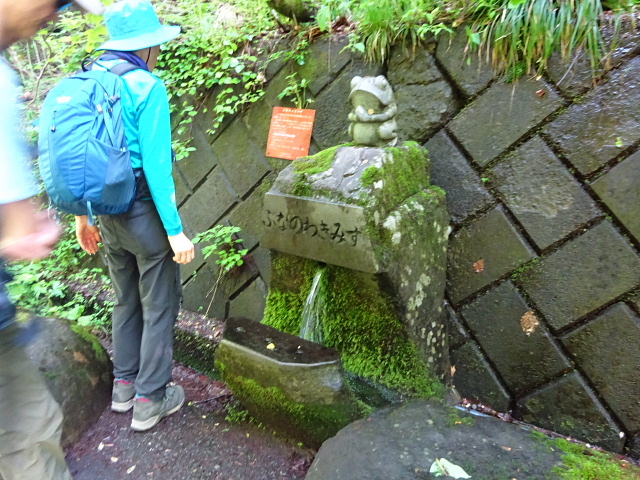 玉原湿原