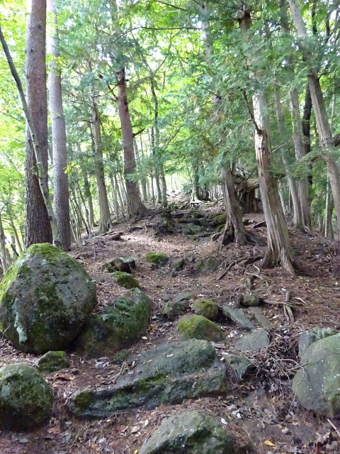 足和田山