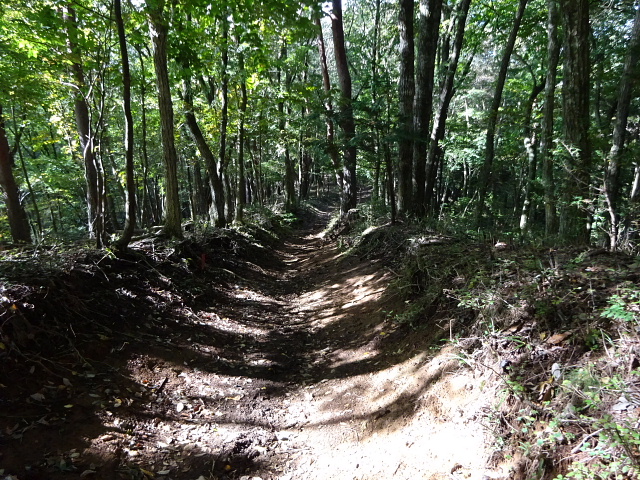 足和田山