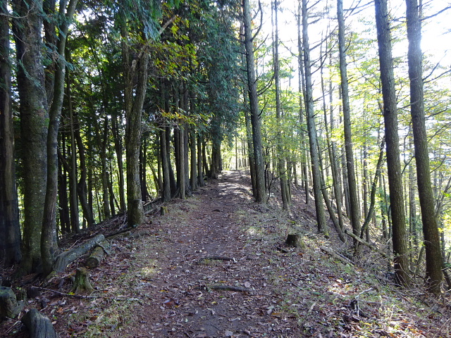 足和田山