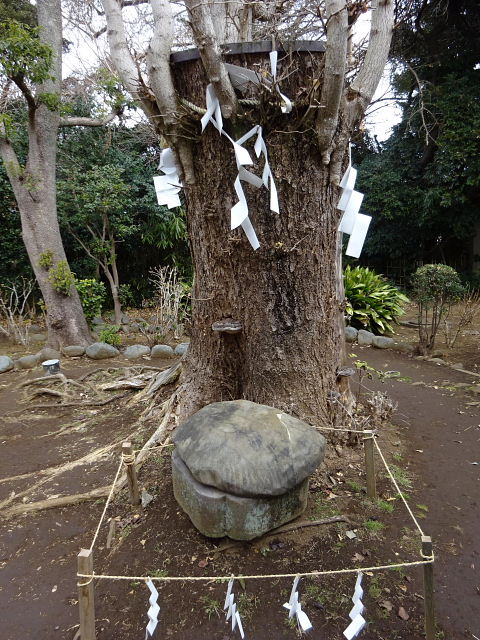 江の島