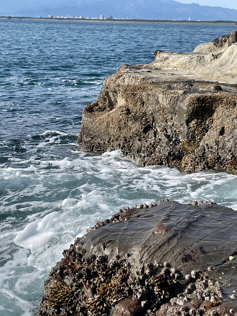 江の島