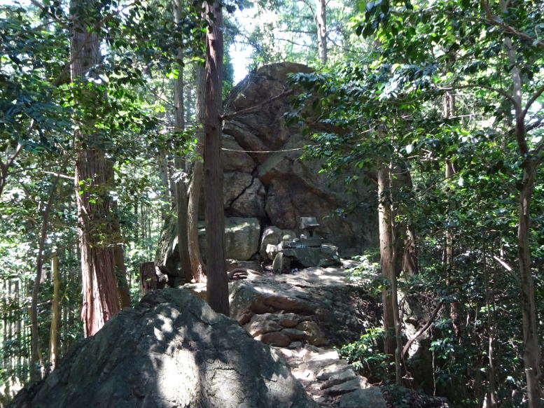 南沢アジサイ山