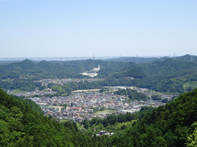 南沢アジサイ山