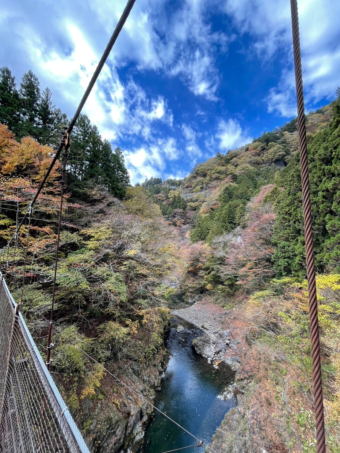 奥多摩むさし道