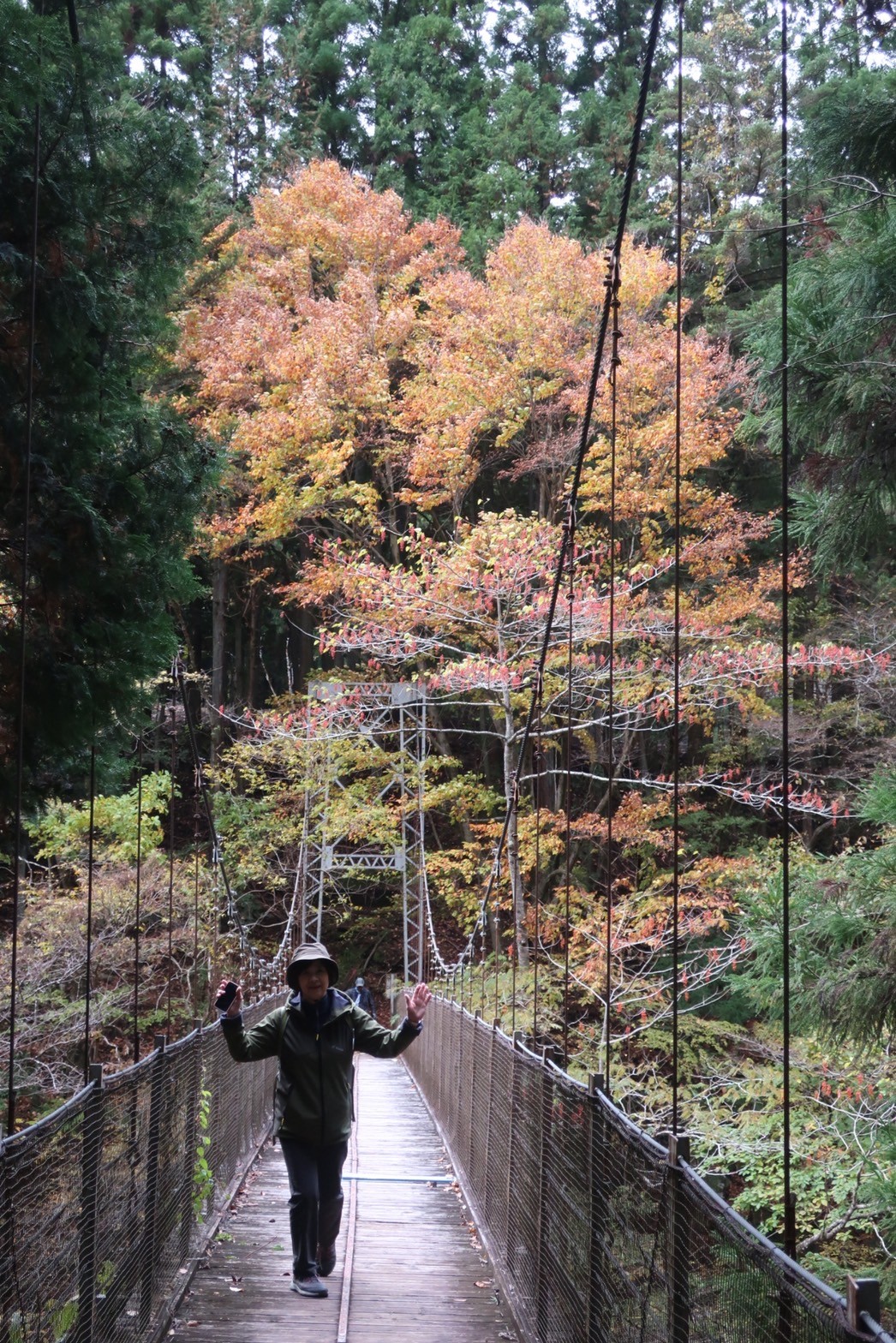 奥多摩むさし道