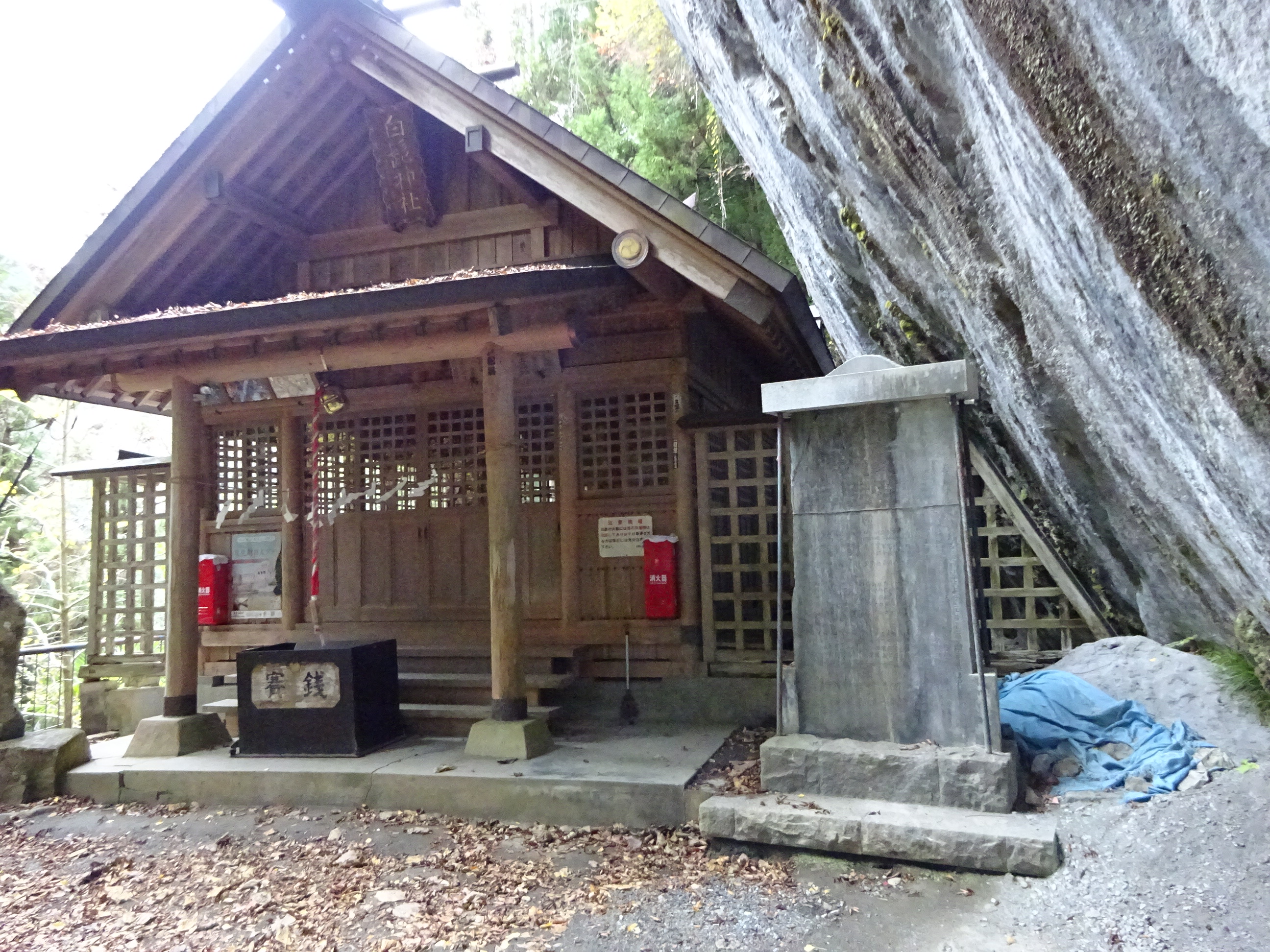 奥多摩むさし道