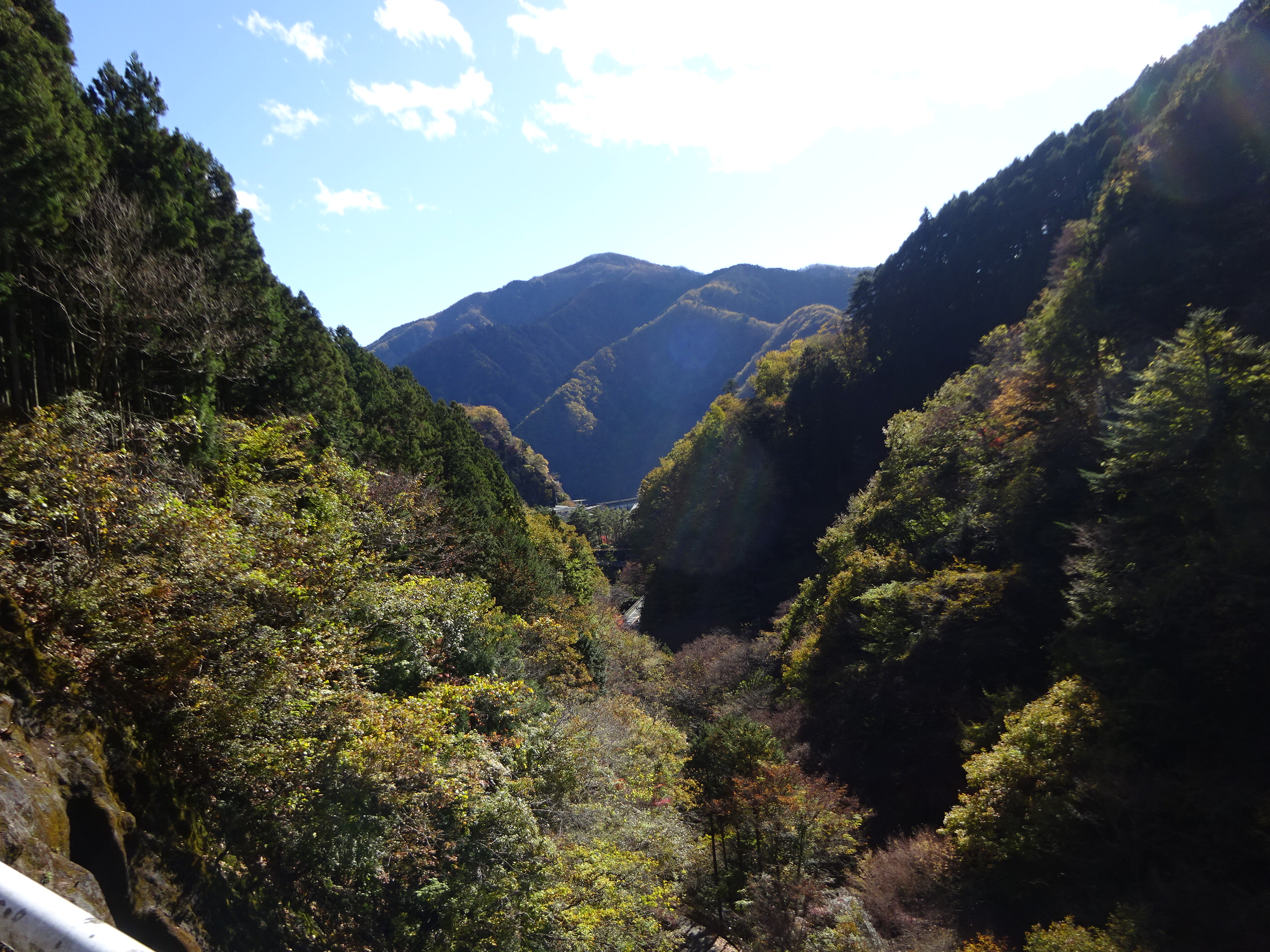 奥多摩むさし道