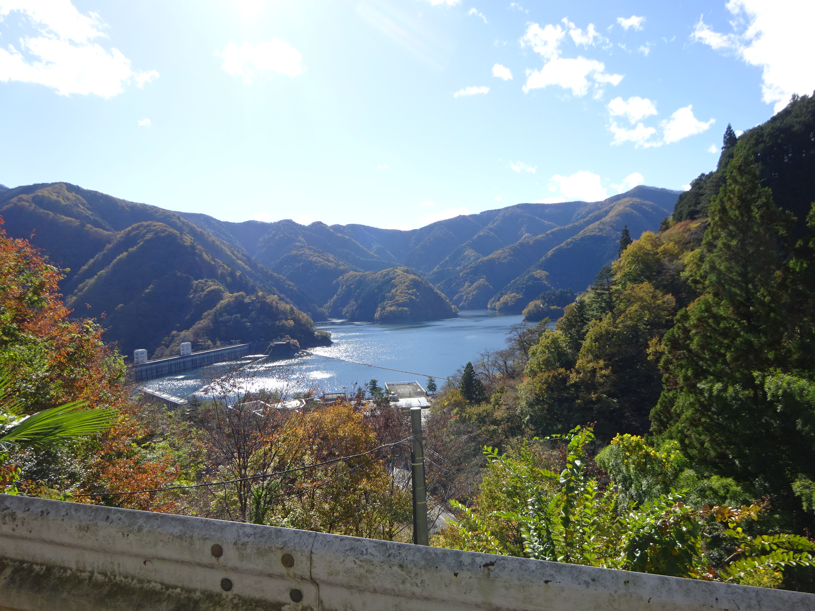 奥多摩むさし道