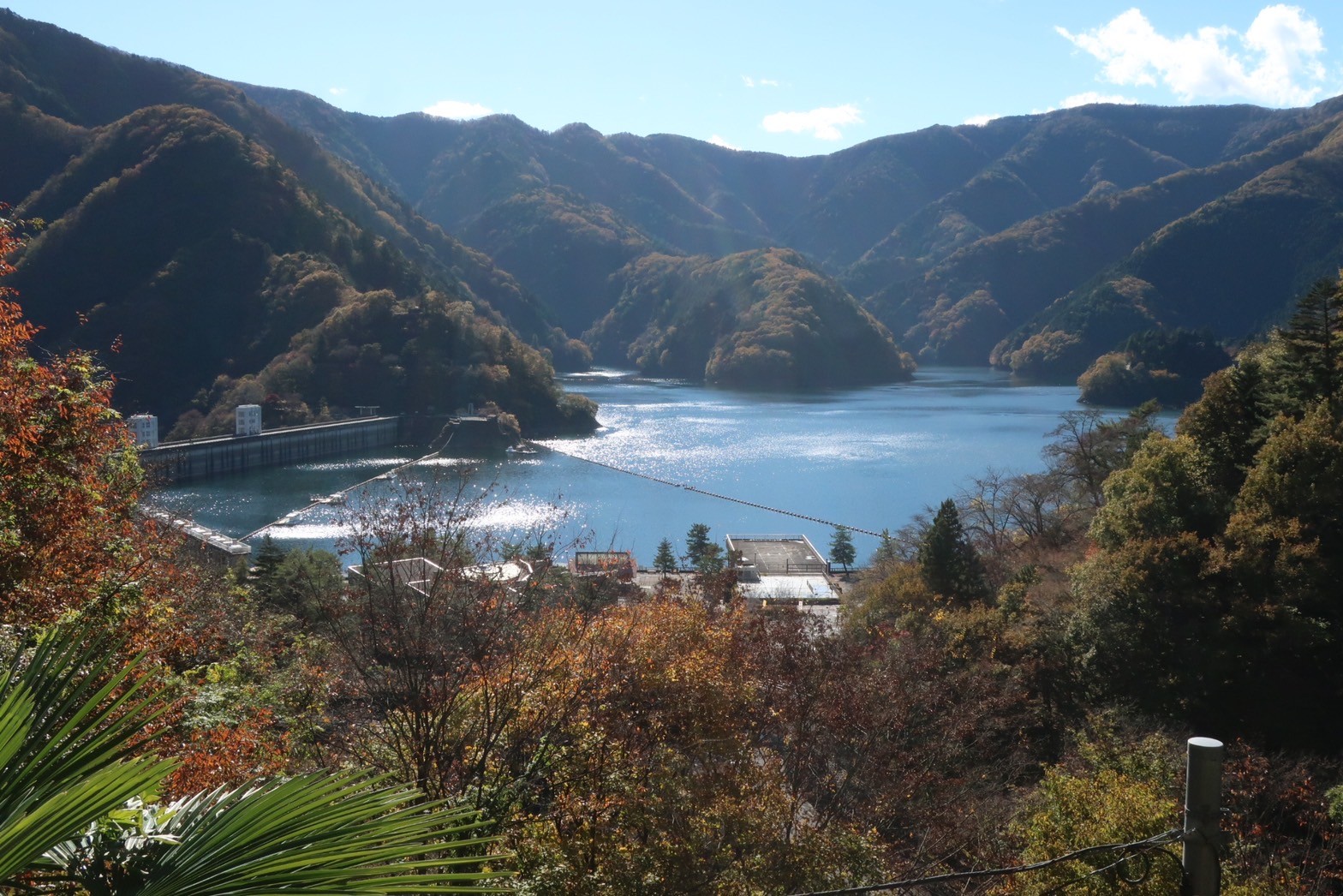 奥多摩むさし道