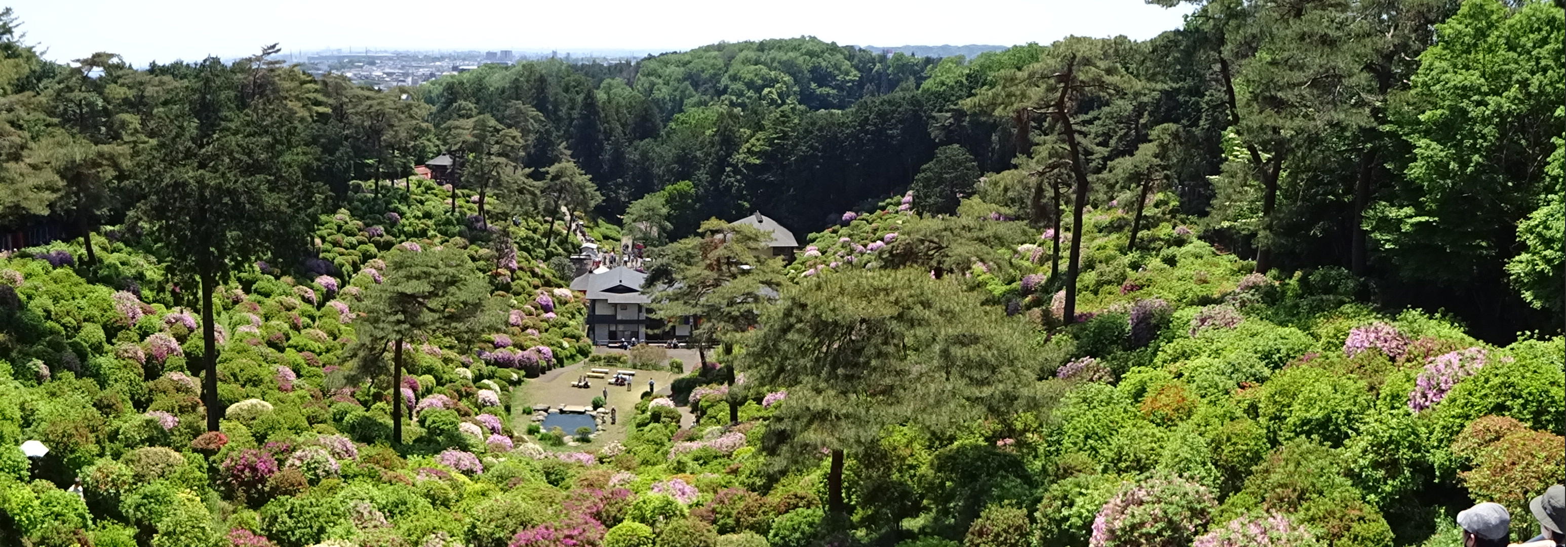 塩浜観音寺