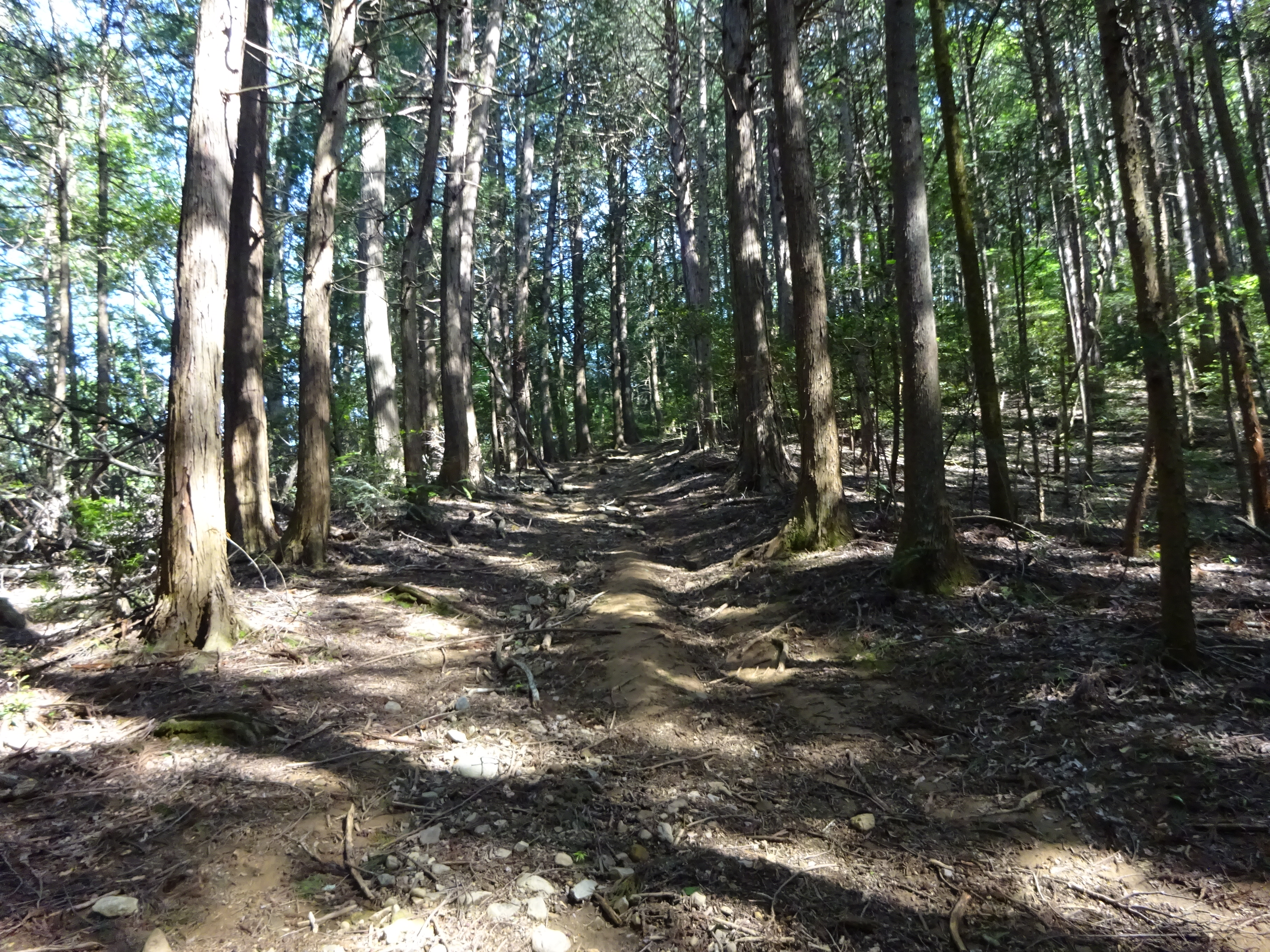 塩浜観音寺