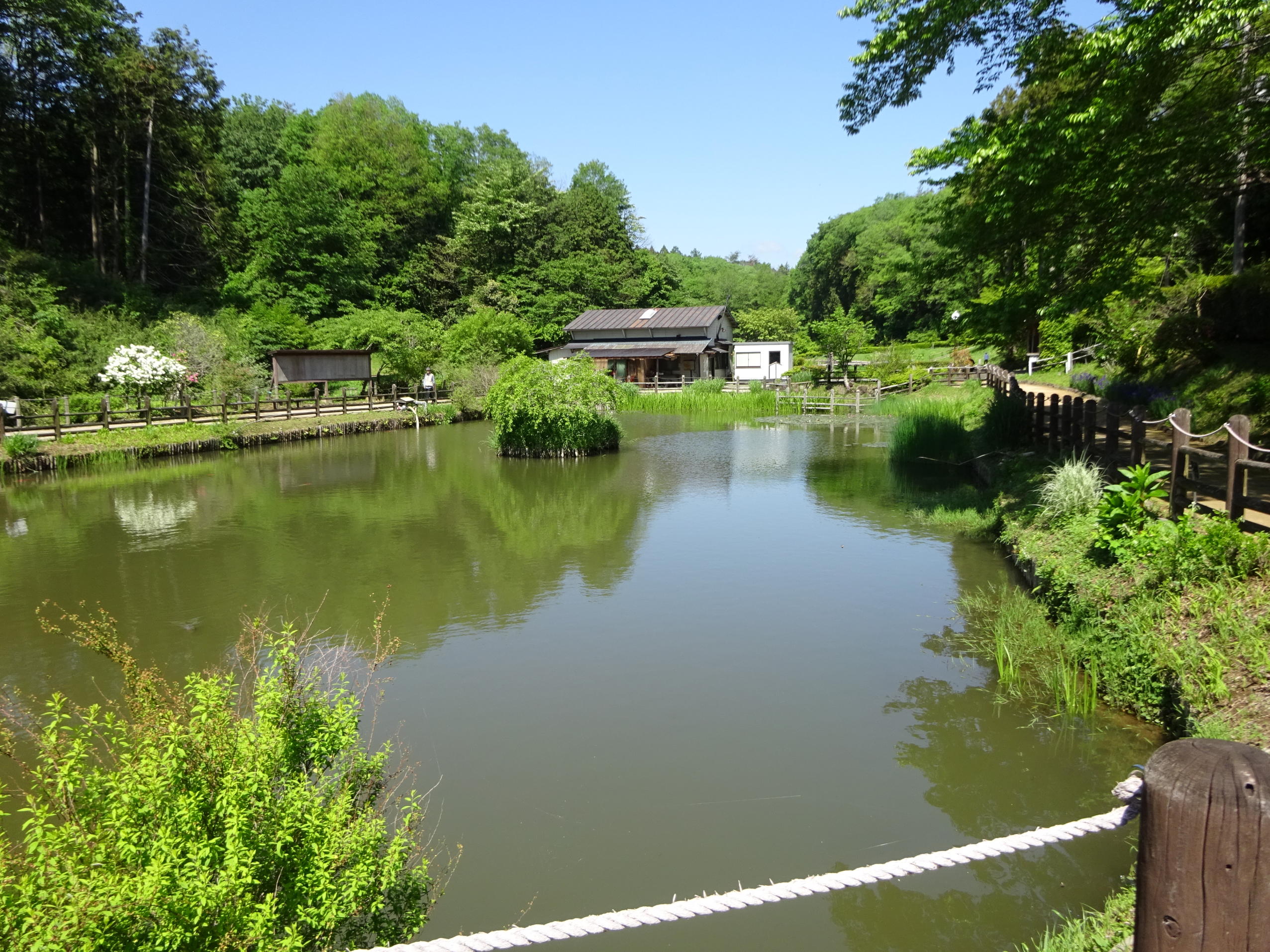 塩浜観音寺