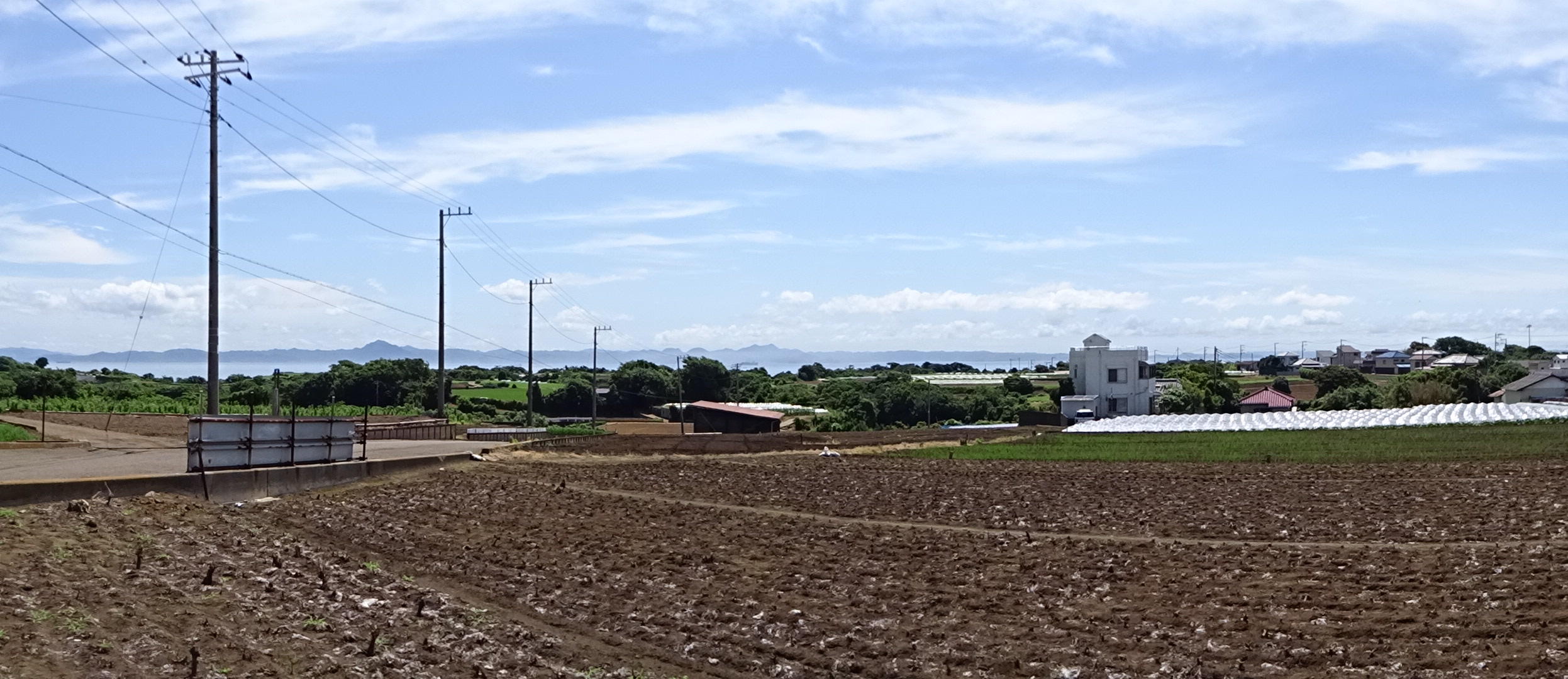 岩礁の道