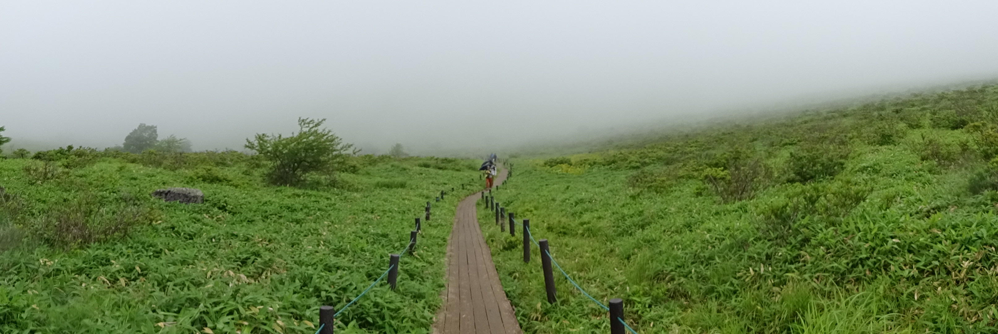 霧ヶ峰