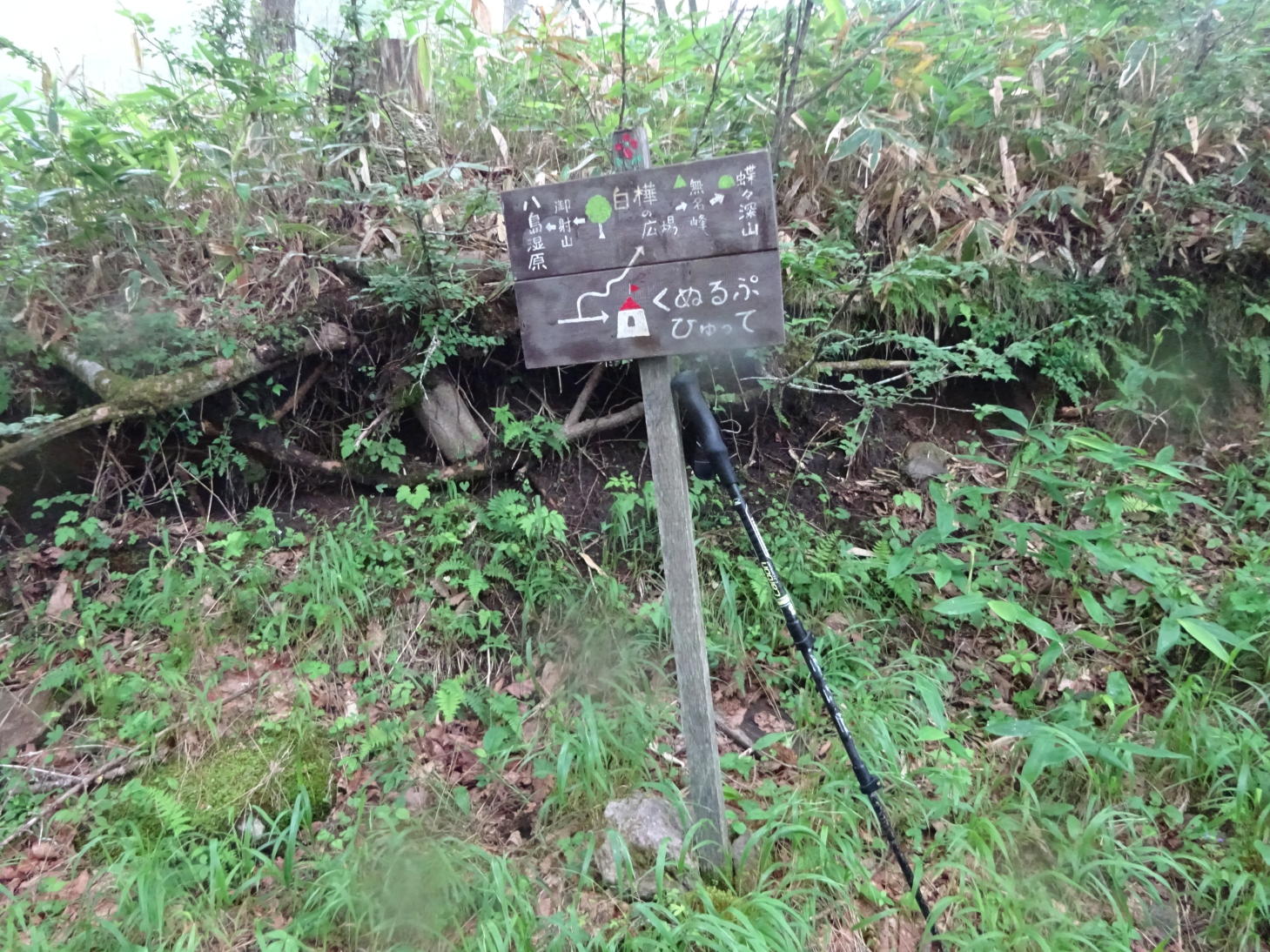 霧ヶ峰